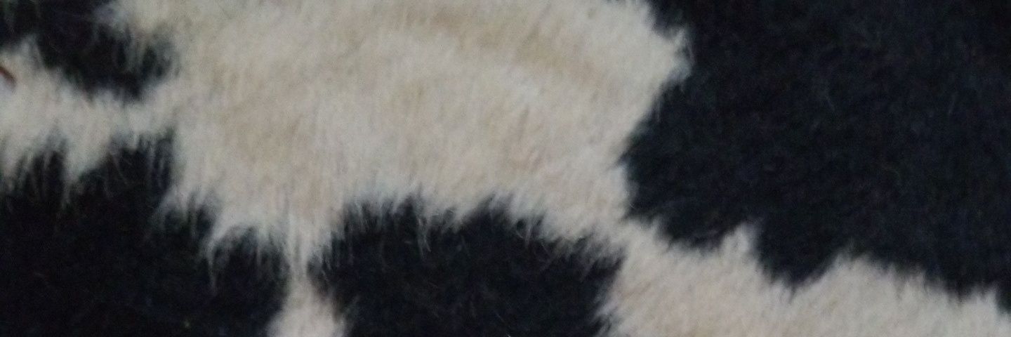ArkansasHealthy's profile banner image