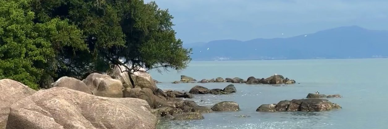 marcelo martins banner