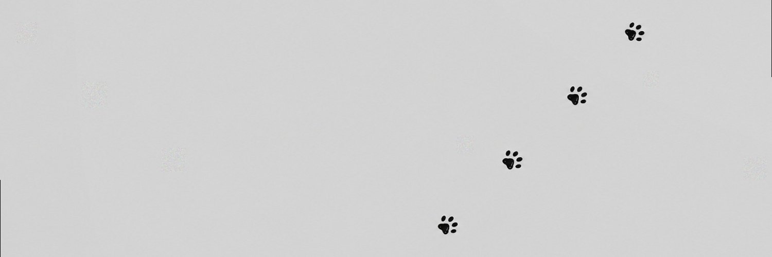 stormvic_l's profile banner image