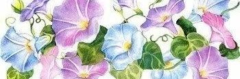 BarbaraDeneken's profile banner image