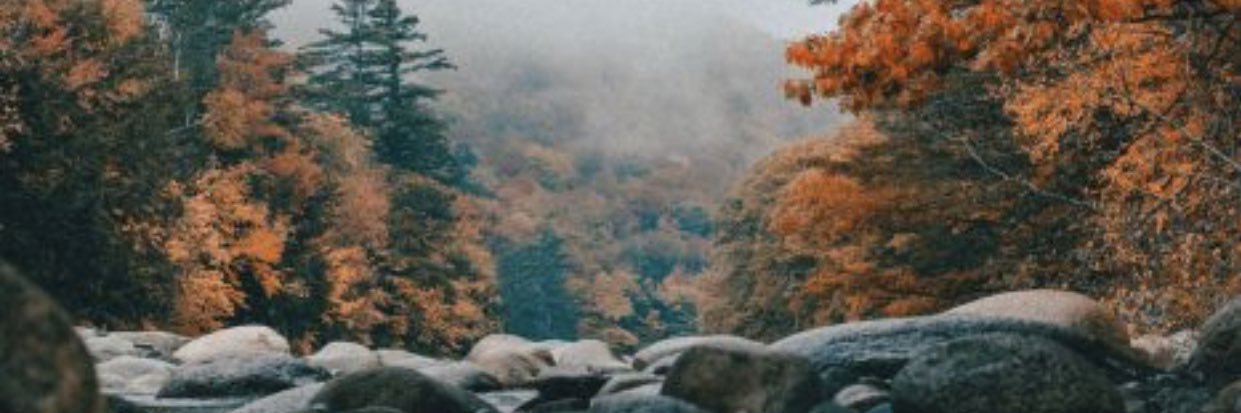 HayleykenZ's profile banner image