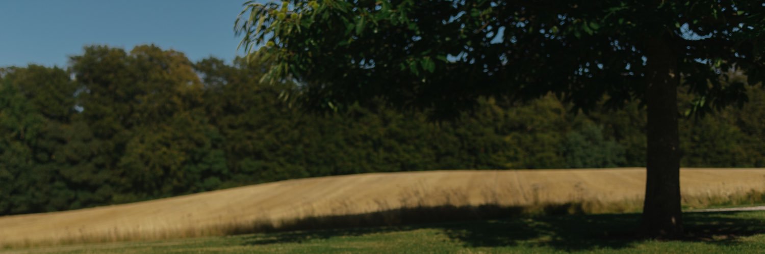 SaselineS's profile banner image