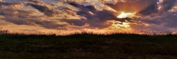 abigail_cody's profile banner image