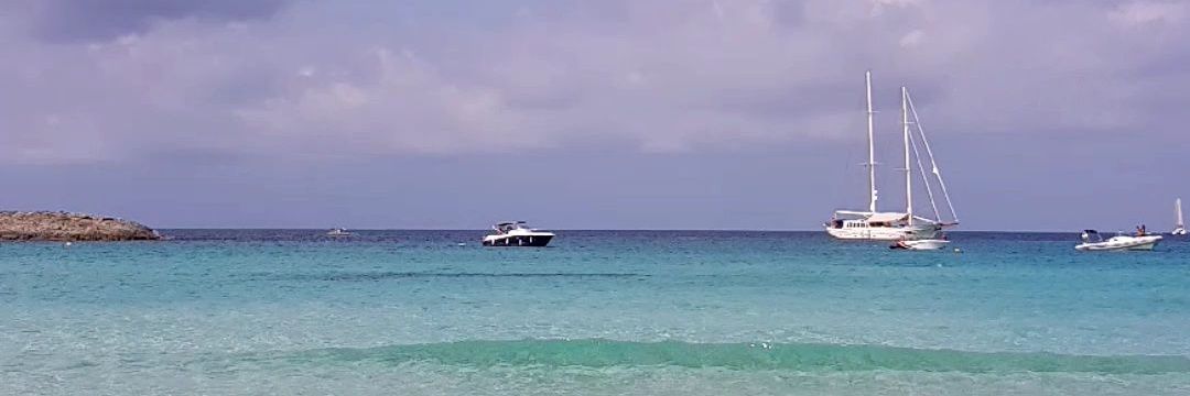 uʍop əpısdn banner