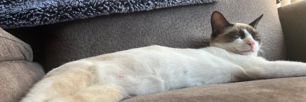 HughesNewsTV Profile Banner