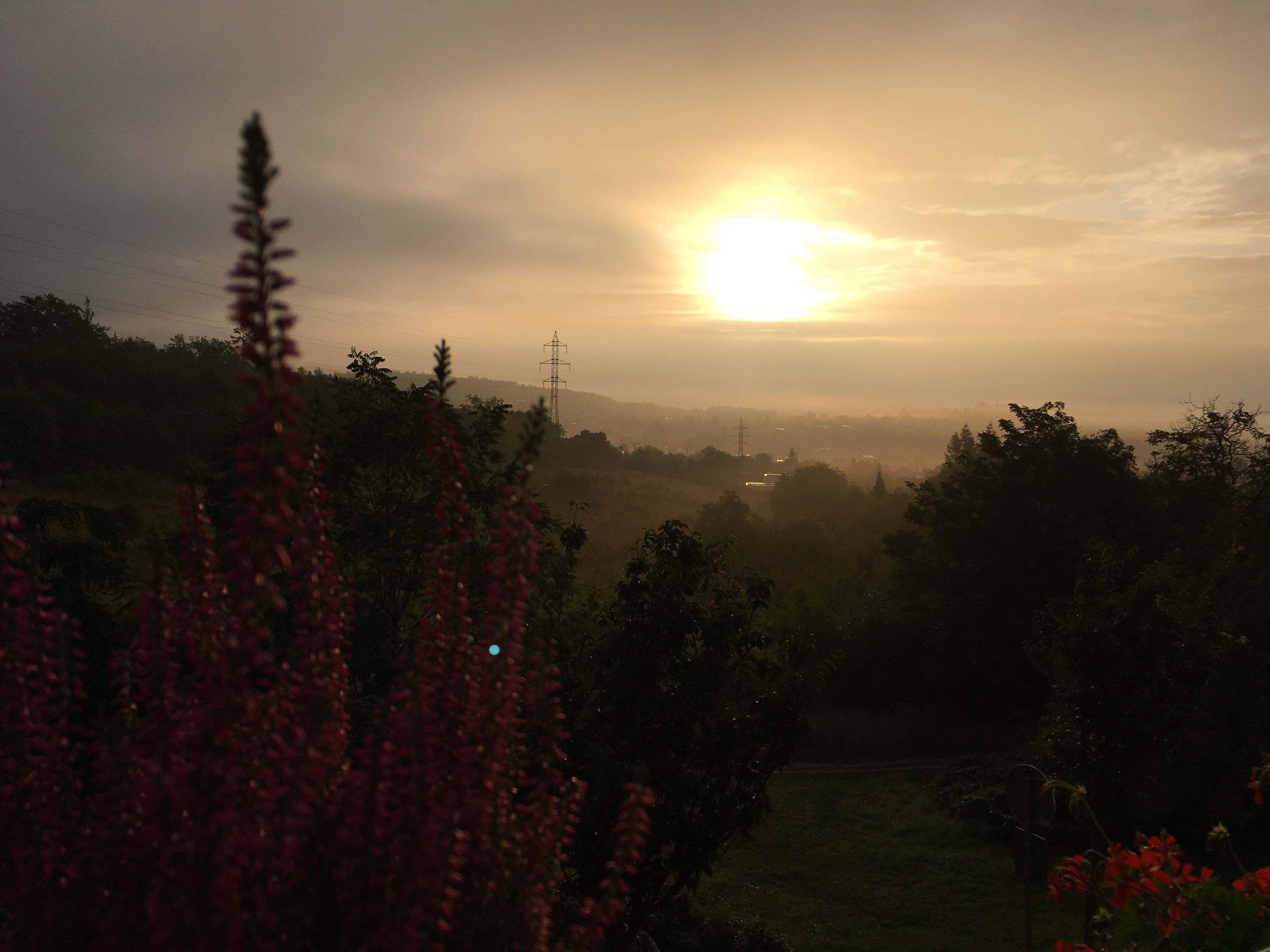 Mechurova_CT's profile banner image