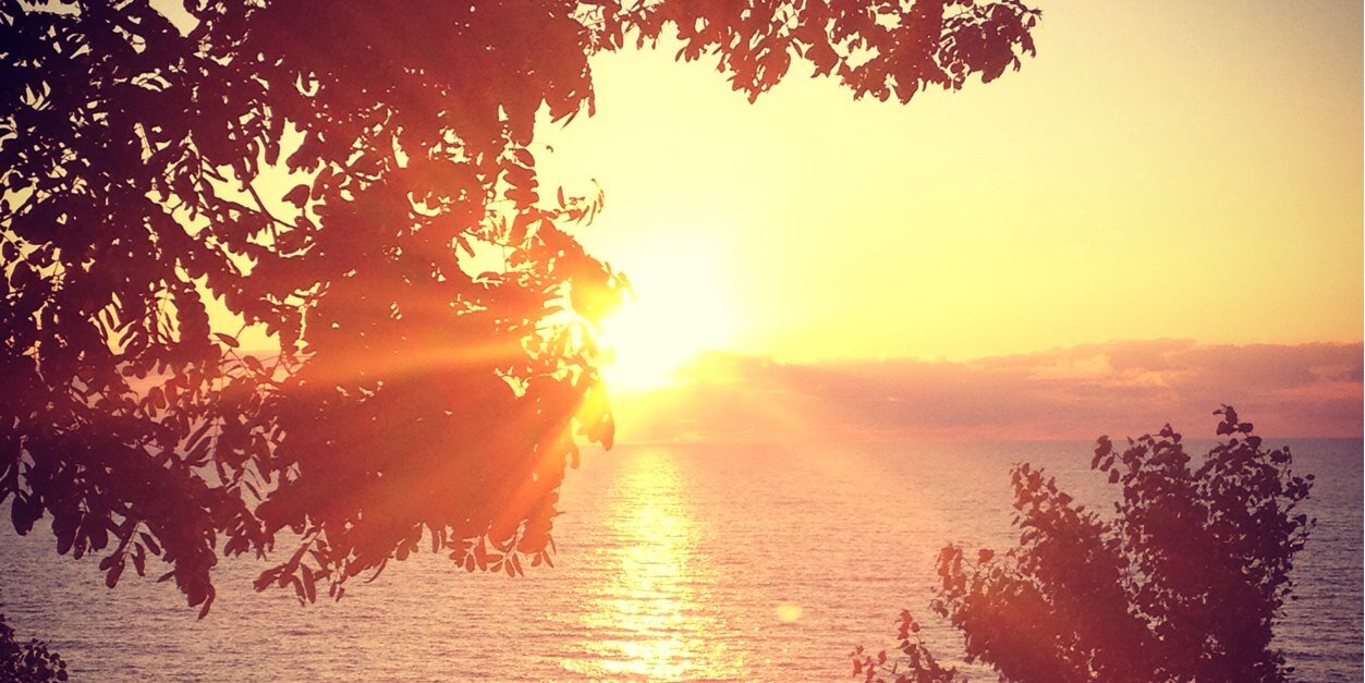 MargoBanakis's profile banner image