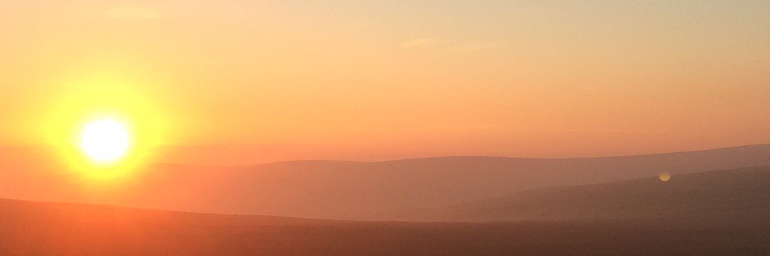 margoPembs's profile banner image