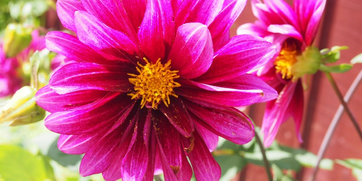 SusanMcKone's profile banner image