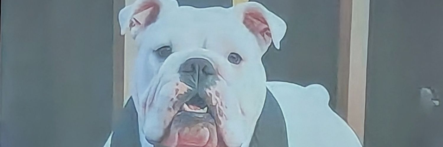 The REAL georgiaontap banner