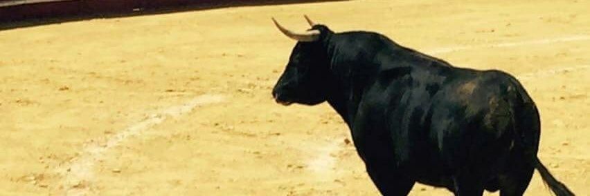 Gabriel Lecumberri banner