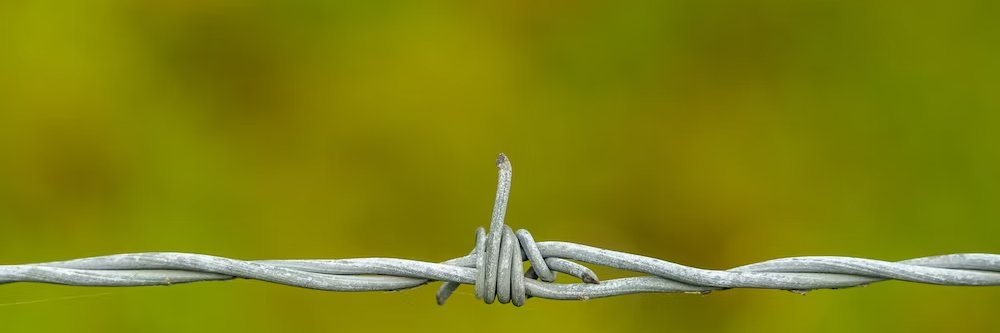 HONEST AND CANDID TO A FAULT banner