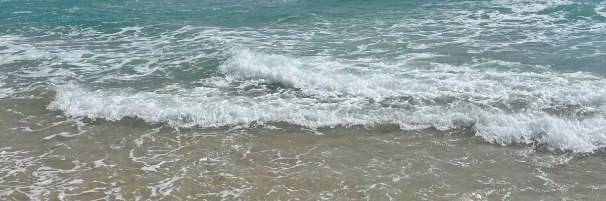Lanie banner