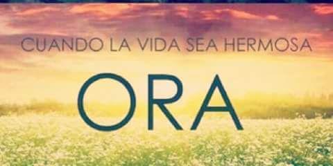 2361992Cardona's profile banner image