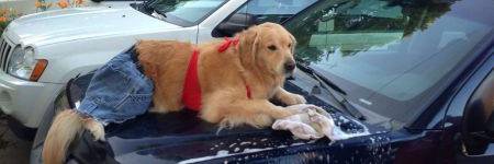 Julia Pugachevsky 🇺🇦 banner