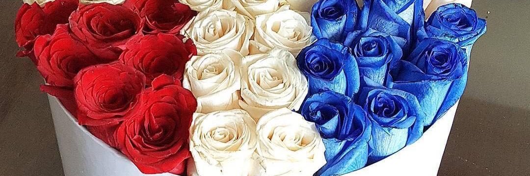 This Is Politic banner