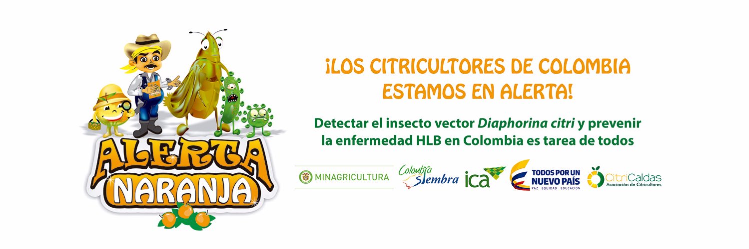 Citricaldas's profile banner image