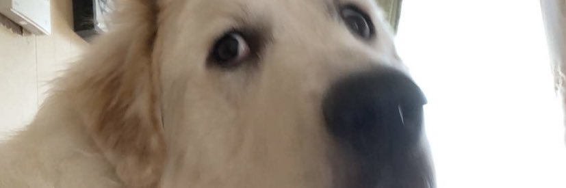 bradybunch319's profile banner image