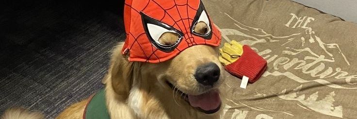 jose1ito's profile banner image