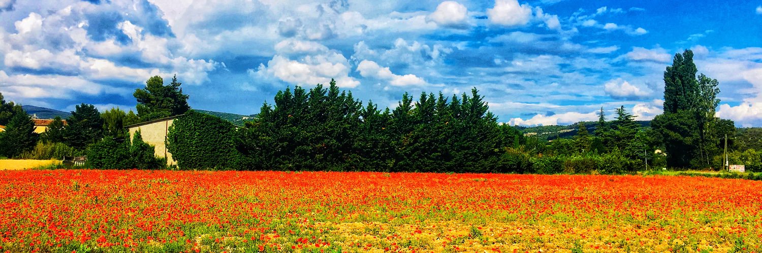 TheWanderingGrl's profile banner image