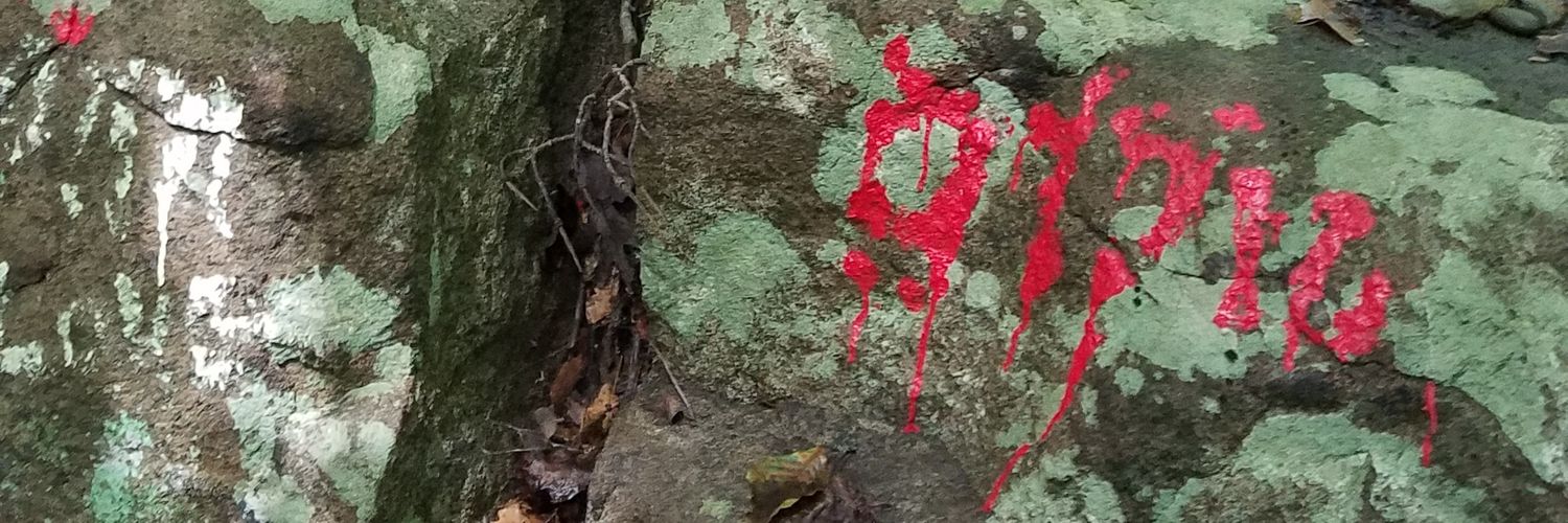 revyoungskim's profile banner image