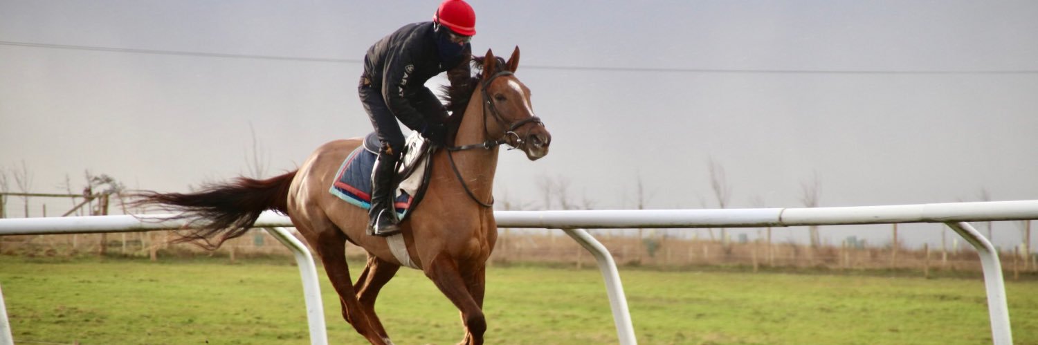 Peter Sullivan banner