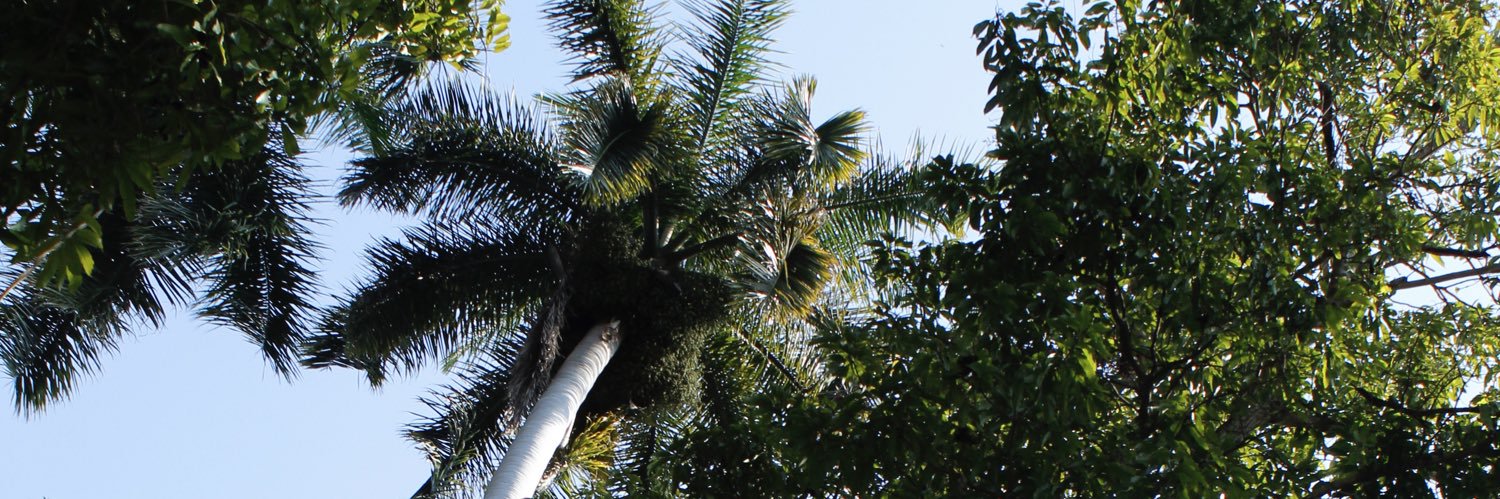 vico_ls's profile banner image