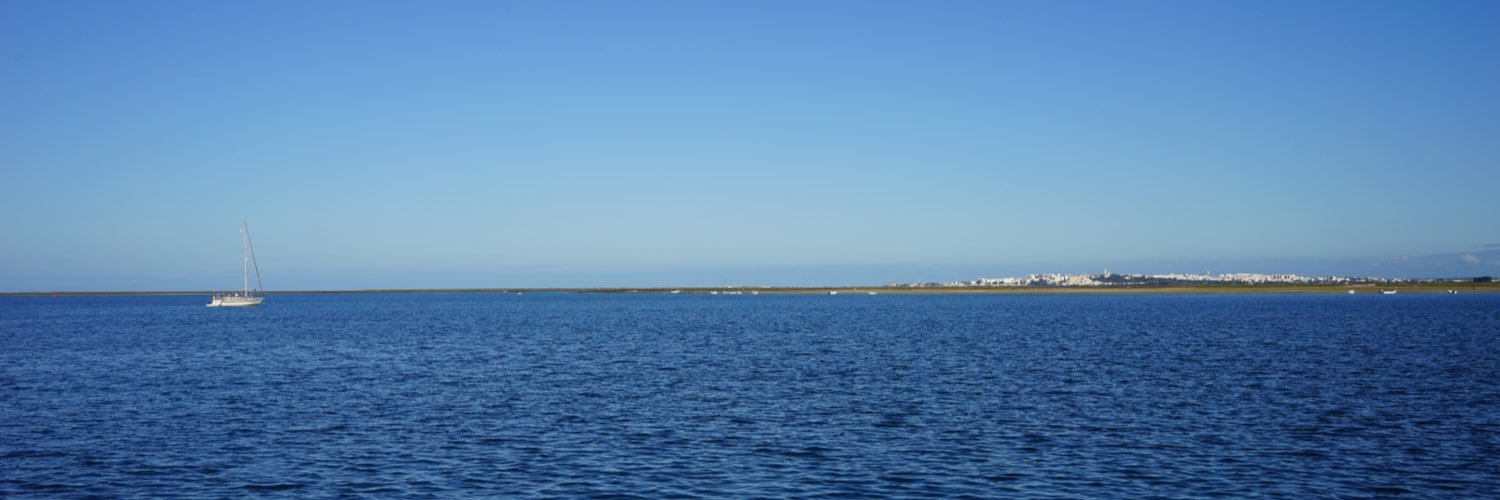 pedrojanela's profile banner image