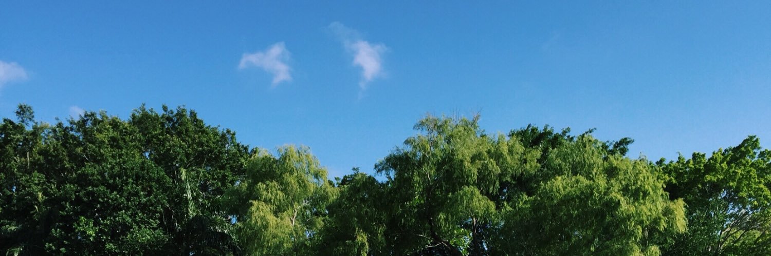 adrianardp's profile banner image