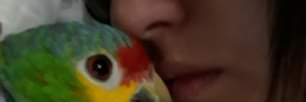 KatyGlezCruz's profile banner image