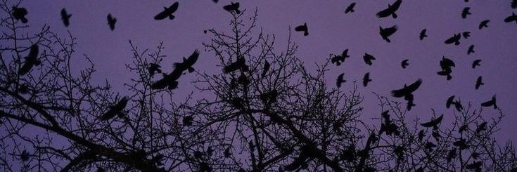 weirdkhan.base.eth 👁️ banner