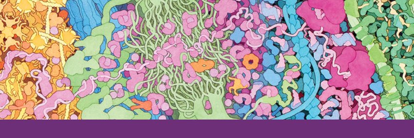 3D Molecular Designs banner