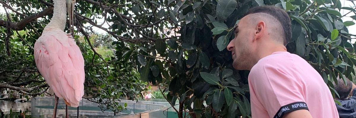 paternalopez93's profile banner image