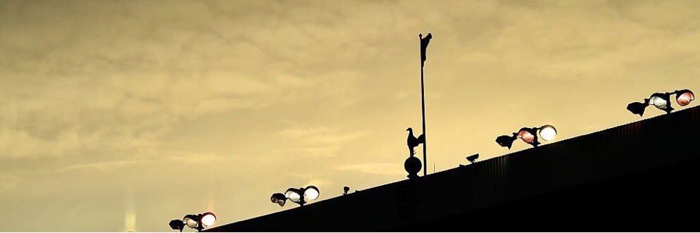 Niall O Sullivan banner