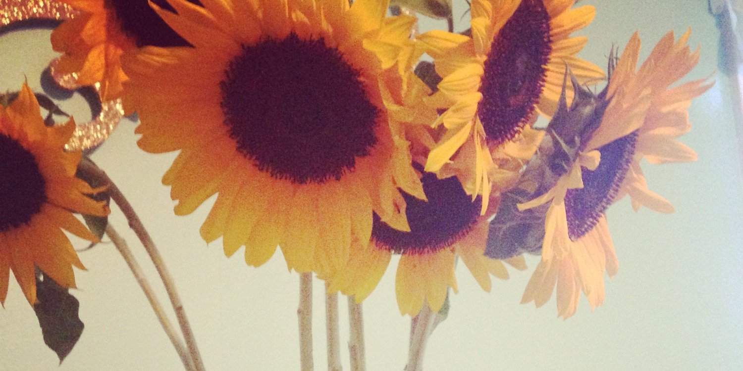 ItsMeSunnyD's profile banner image
