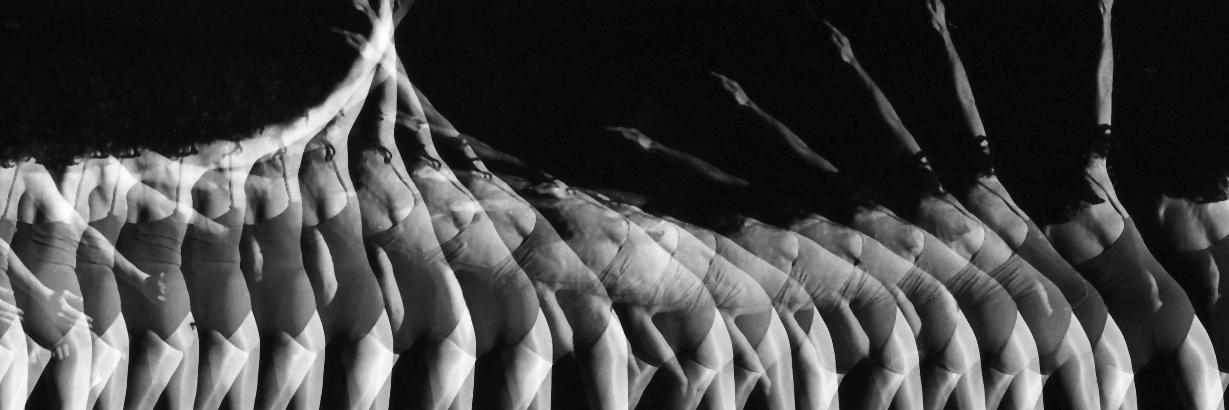 juditmeixner's profile banner image