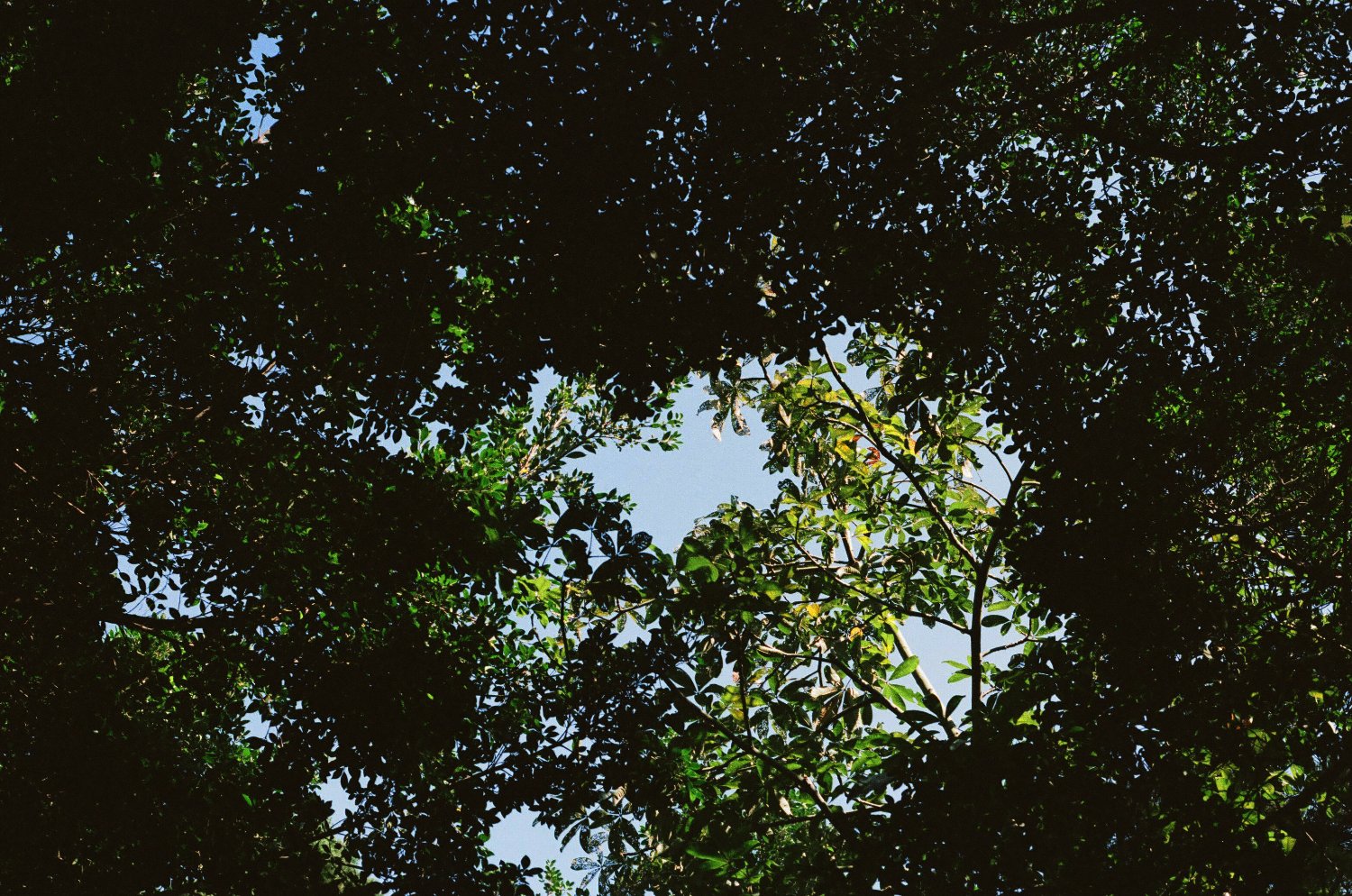 Danezilla_'s profile banner image