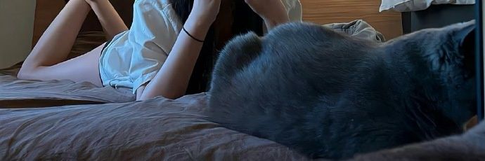 maufox2's profile banner image