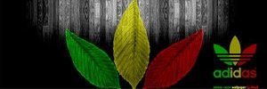 AndrewColeman7's profile banner image
