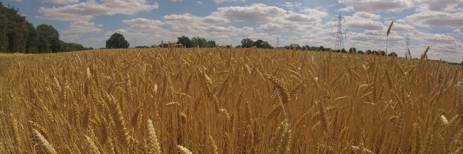 James Ravinet banner