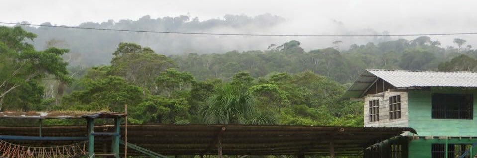 JamesMclachlan3's profile banner image