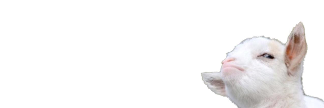 Dawson Harch banner
