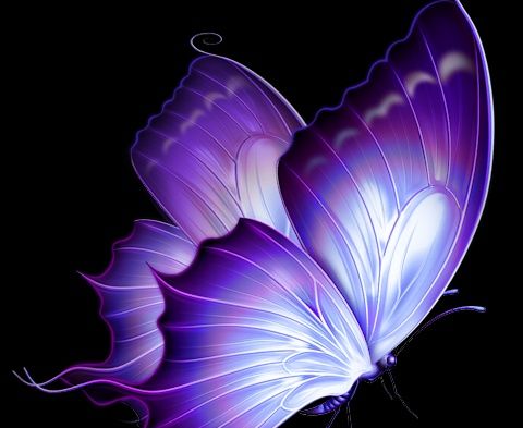 deepshisid's profile banner image