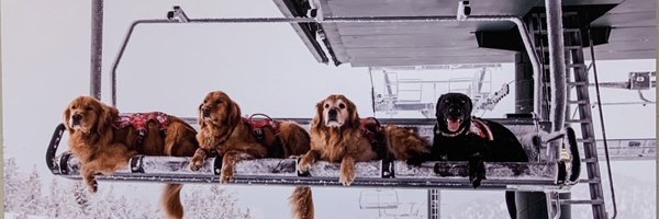 tyryans11 Profile Banner