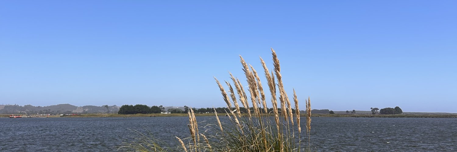 Blanca Villalobos banner