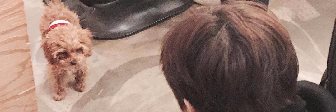 seung_u97's profile banner image