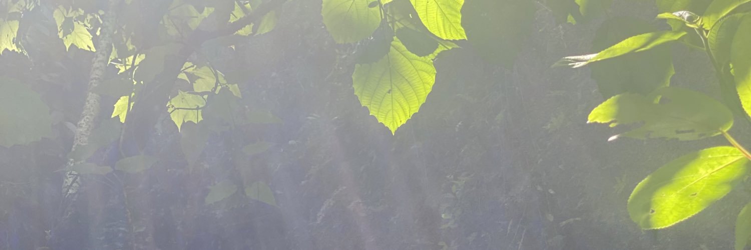jabdu23's profile banner image