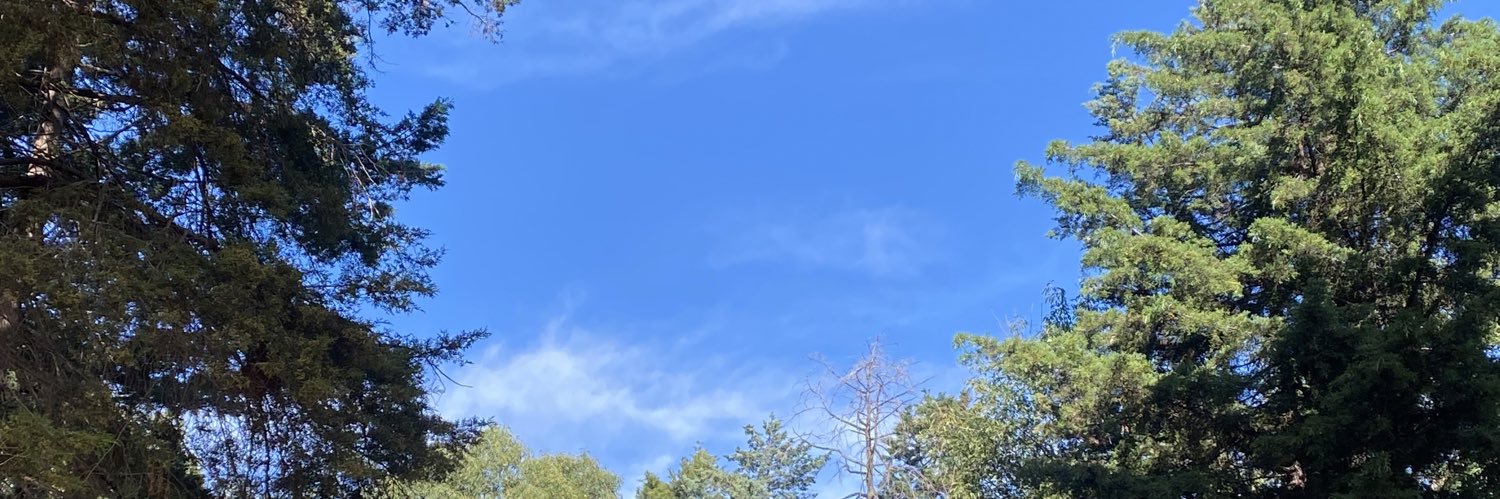 anteno's profile banner image
