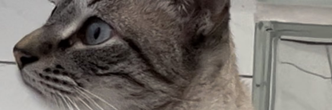 LaryssaLoa's profile banner image