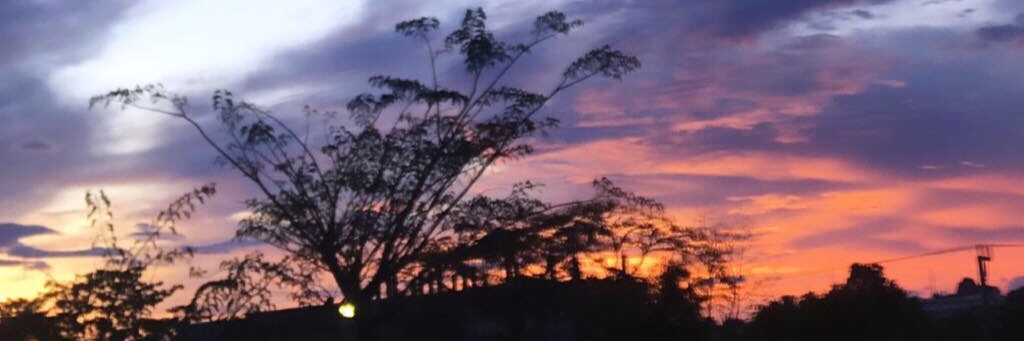 febrianacitraa's profile banner image
